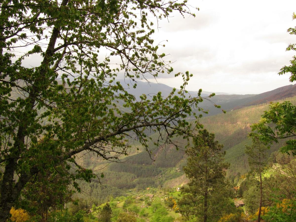 فيلا Casa Encantada - Alvoco Da Serra المظهر الخارجي الصورة